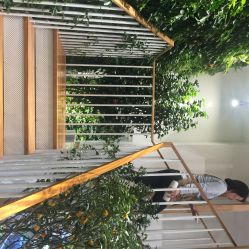 -悦诗风吟innisfree