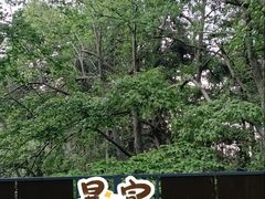 -冶父山国家森林公园