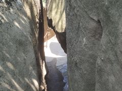 -鲁山国家森林公园