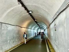-黔灵山公园