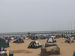 -碧海金沙