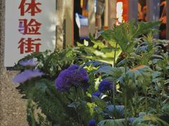 -奎星楼街
