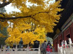 -红螺寺
