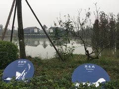 -白鹭湾湿地公园