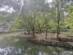 -黔灵山公园