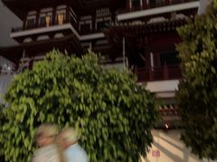 -新加坡佛牙寺龙华院