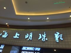 -AMG海上明珠影城(上海环球港RealDCinema店)