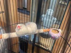 -阜昌典当行(阜成门店)