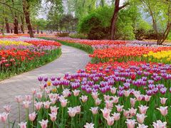 -国家植物园南园