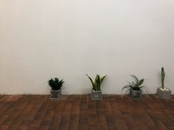 -Y-STUDIO原理