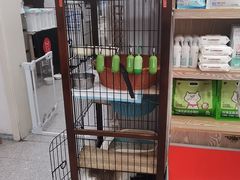 -四月宠物医院·猫专科·心脏专科·内科(转塘店)