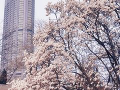 -富斯特索道