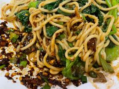 -钓鱼猫面(总店)