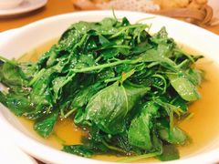 酒香草头-牧羊餐厅
