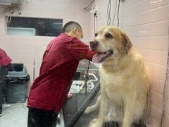 -FAELING PETS美天灵宠物(富力广场店)