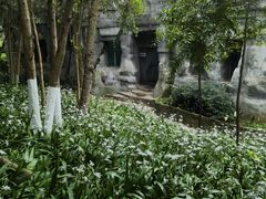 -成都大熊猫繁育研究基地