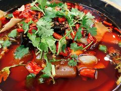 精品毛血旺-成都驻京办餐厅(蜀都宾馆店)