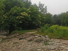 -玉渡山自然风景区