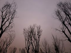 -白鹭湾湿地公园