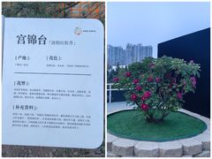 -太阳宫公园