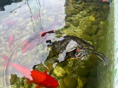 -仙林宾馆-餐厅