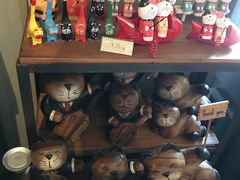 -猫咪博物馆(顶澳仔猫街店)