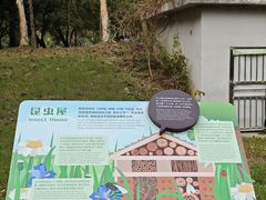 -福田红树林生态公园