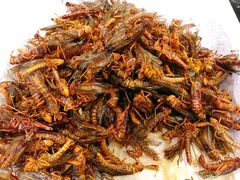 -七味轩中华传统文化主题酒楼(泽信广场店)