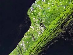 -五女山景区