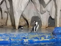 -太平洋海底世界