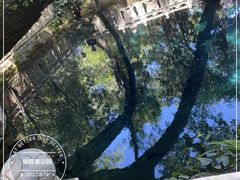 -蝴蝶泉公园
