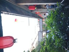 -九江双蒸博物馆