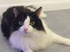 -魏家凉皮(博水商务大厦店)