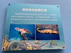 -陕西自然博物馆