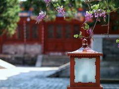 -北京国子监胡同