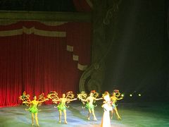 -珠海横琴长隆《卡卡虎奇遇记》