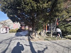 -有喜胶东小馆(太申祥和店)