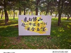 -白佛山景区