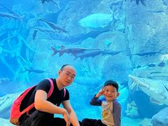 -郑州银基国际旅游度假区