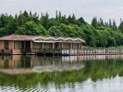 -上海海湾国家森林公园