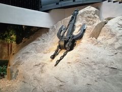 -中国船政文化博物馆