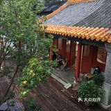国庆扫街随拍~风响驼铃