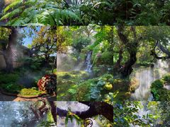 -Chom Cafe and Restaurant