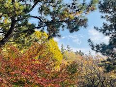 -青岛崂山太清宫