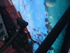 -万达广场(济南魏家庄店)