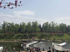 -洨河生态公园