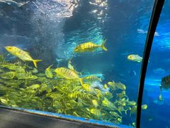 -太平洋海底世界