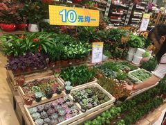 -AEON永旺(东方宝泰店)