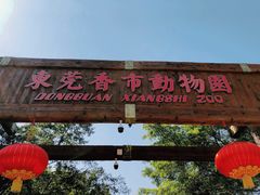 -东莞香市动物园