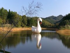 景点-千岛湖龙川湾